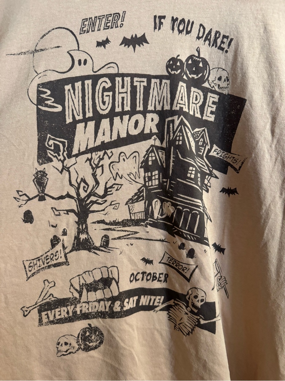 Aerie Nightmare Manor tshirt